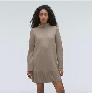 Everlane Dress Womens Small Tan Cozy Stretch Turtleneck Wool Sweater Luxury Mini